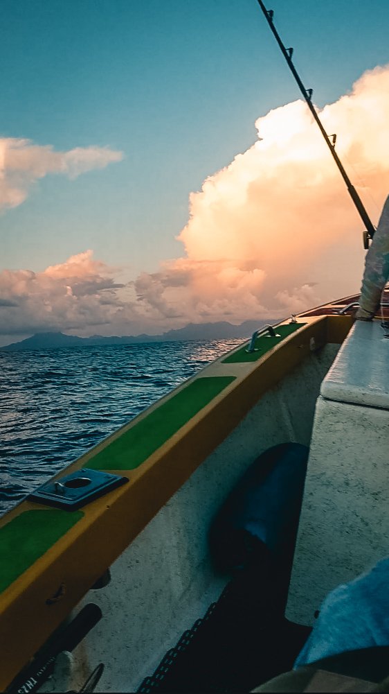 Raiatea vue depuis un speedboat