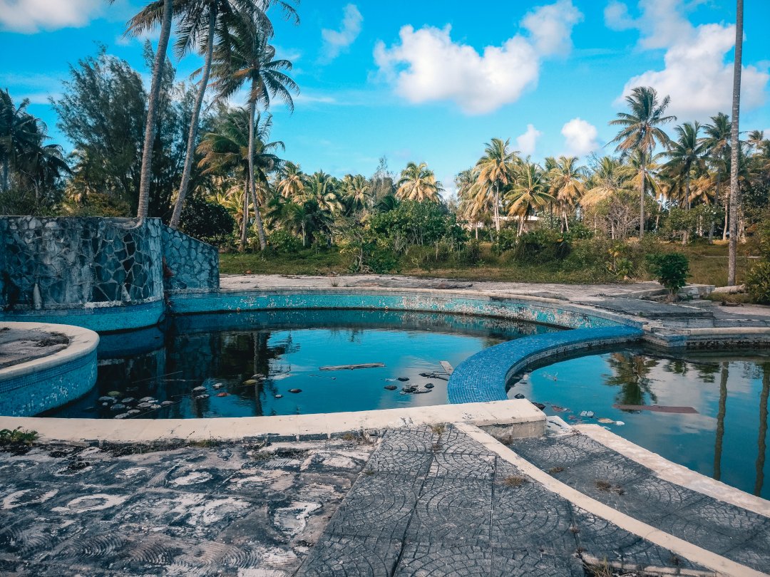 Une piscine désaffectée entourée de palmiers 