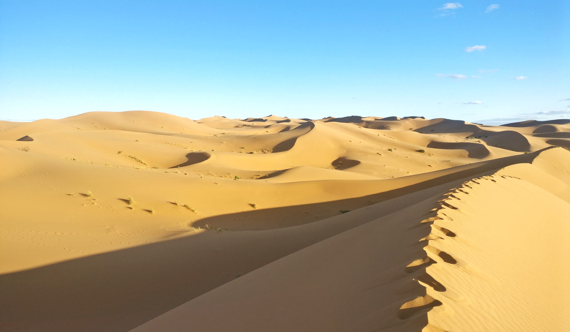 Le Sahara de Merzougha
