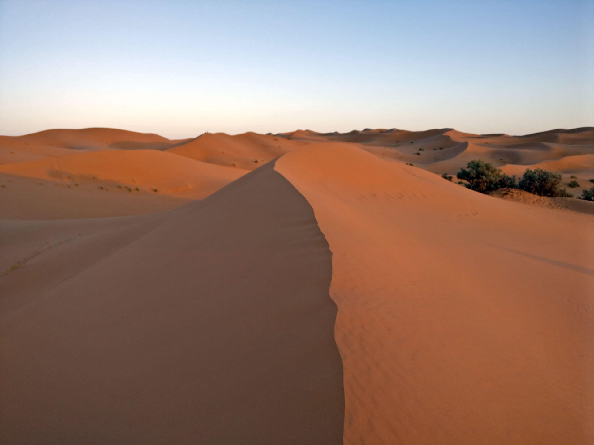 Le sommet d&rsquo;une dune au crépuscule